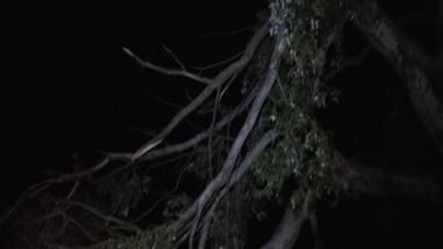 Qasırğa Ağdam, Bərdə və Tərtər rayonlarında ciddi fəsadlar törədib